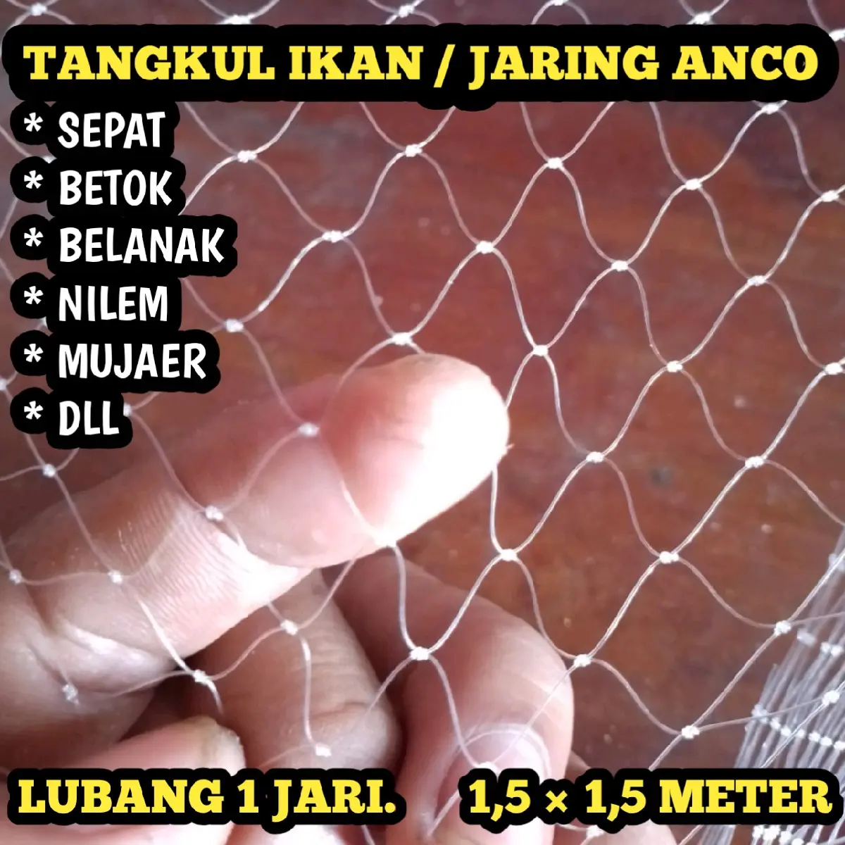Tangkul ikan ukuran 1,5×1,5 meter lubang 1 jari senar 0,25 jaring hancau ikan sepat belanak gabus lele alat penangkap ikan jaring anco