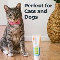 Gambar Oxyfresh Pet Gel 28g Paket Sikat Gigi - Gel Antiseptik Gigi Mulut Hewan dari Oxyfresh Pet Kota Tangerang Selatan 5 Tokopedia