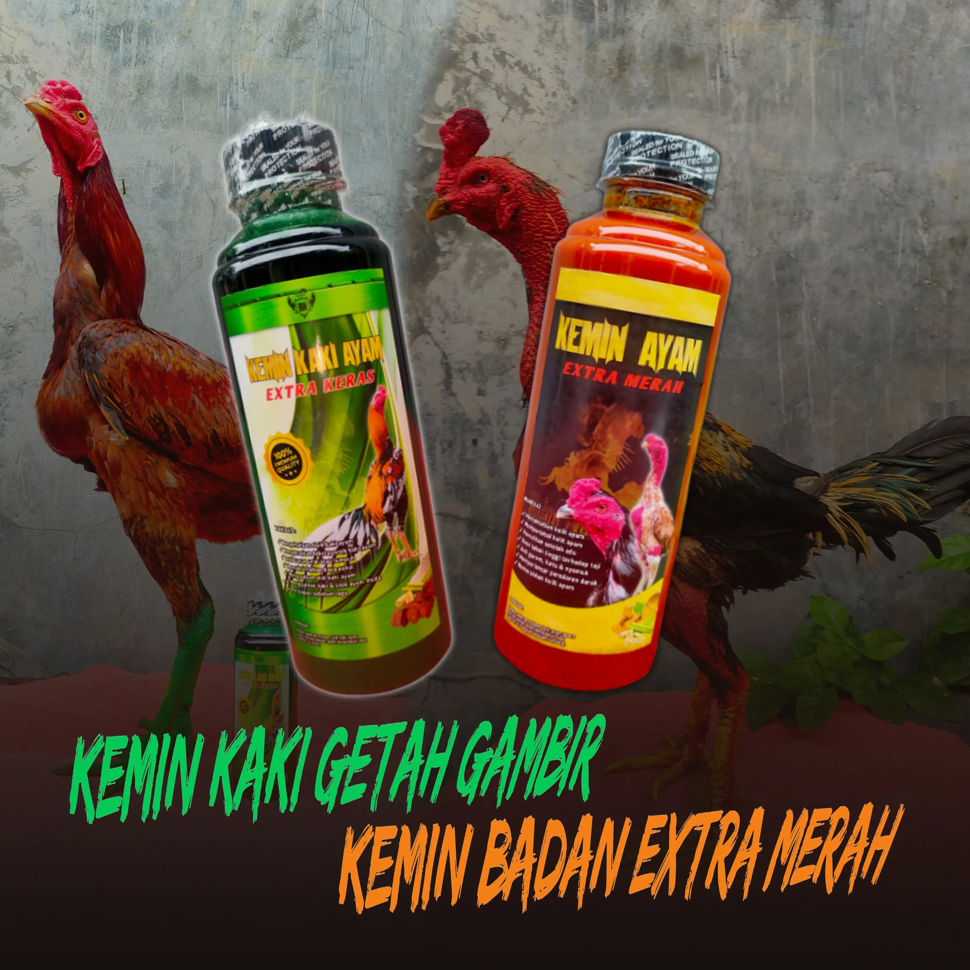 KEMIN PAKET KOMPLIT --> isi paket ( Kemin badan & kemin kaki ayam getah gambir ayam adu aduan tarung )