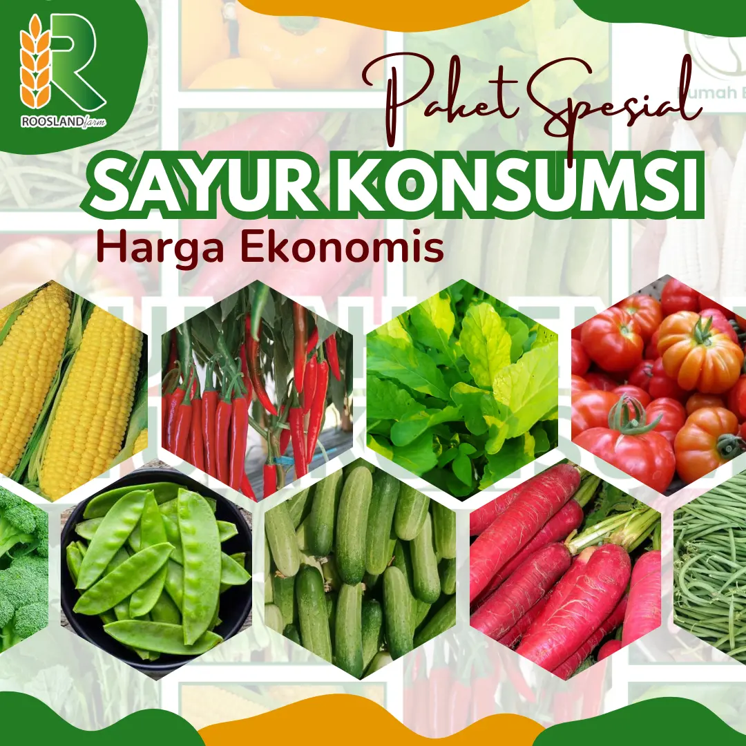 Paket Spesial Benih Sayur Konsumsi Terlengkap Harga Termurah