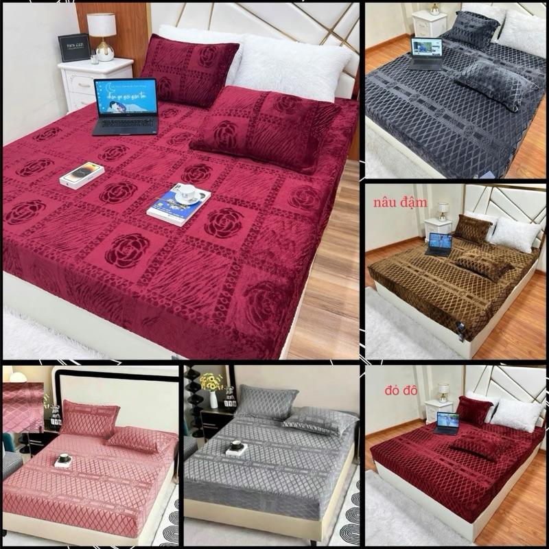 Bộ ga và 2 vỏ gối đầu chất liệu nỉ nhung hoa trà mềm mại êm ái cao 3-12cm vừa