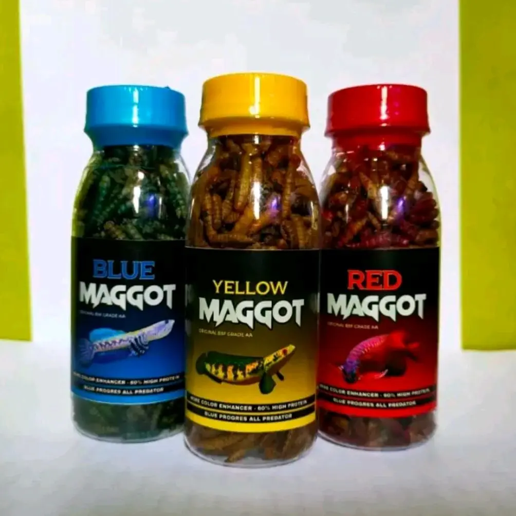 Maggot Kering Blue, Red, Yellow Pakan Ikan Channa, Oscar, Predator 100ml