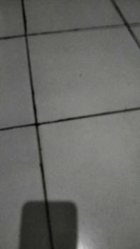 Product Review of as padat stainless 6mm 1meter from a**m 0