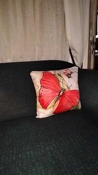 Product Review of Sarung Bantal Sofa Katun Tema Butterfly Printing Size 40 dan 50 from K**a 0