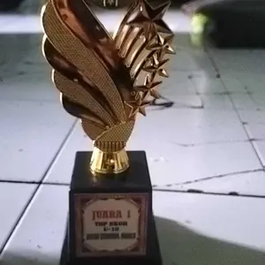 Piala Trophy Mini Tatakan Figur Tinggi 30cm - Piala Satuan Plastik
