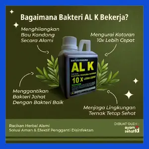 AL K - Pencegah Bau Kandang Alami Tanpa Bahan Kimia - Solusi Terbaik untuk Mencegah Bau Kotoran Unggas semprotan ayam