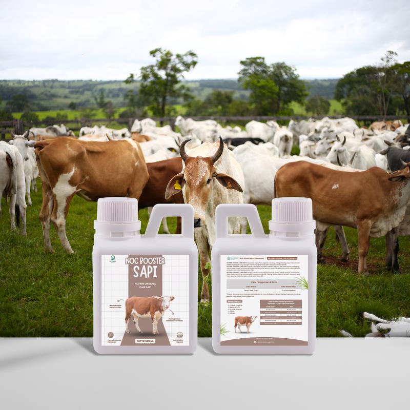 NOC BOOSTER SAPI 500ML - Nutrisi Organik Cair Sapi 3
