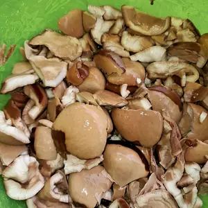 jual buah picung atau klewek sudah dikupas 400 grm