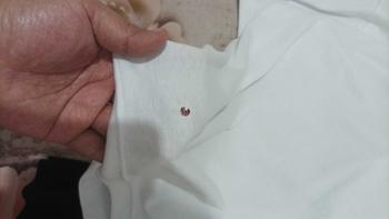 Product Review of PROMO KAOS DALAM PRIA AGREE ADA 3 WARNA KAOS OBLONG COWOK SA006 HARGA PER 1 PCS BUKAN 3 PCS  baju polos  putih  hitam  katun  army hijau Biru Kerah Dewasa from g**n 0