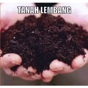 Tanah Lembang Kemasan 1kg - Cocok untuk Tanaman