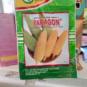 benih jagung manis Paragon