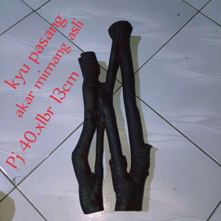 akar mimang asli alami unik