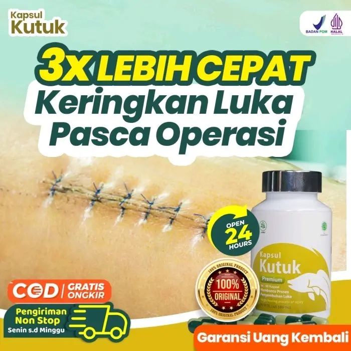 Kapsul Kutuk Premium 100% Original Ekstrak Ikan Gabus Untuk Penyembuhan Luka Pasca Operasi Dan Kebutuhan Albumin 2
