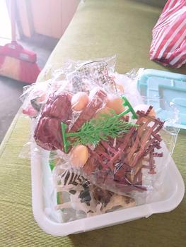 Product Review of [COD]Paket Dunia Dinosaurus Tyrannosaurus Rex Besar Dunia Dinosaurus Mainan Anak Laki-laki dan Perempuan Model Plastik Simulasi Toy from c**_ 0