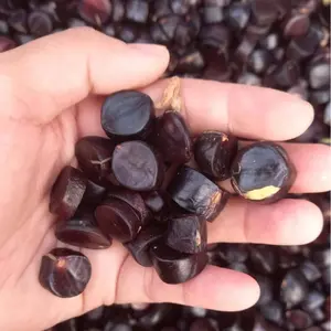 500gr Jaling/Kabau Super Khas Lampung Lalapan Segar Sodara Jengkol