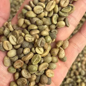 Greenbean Kopi Biji Robusta kab tasikmalaya Grade 100g
