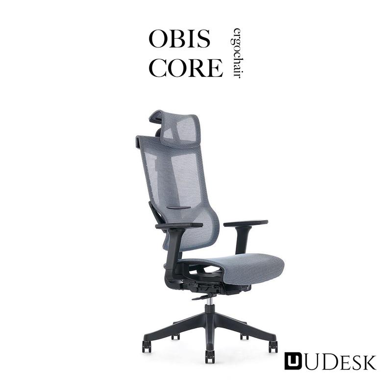 Obis Core Kursi Ergonomis - Kenyamanan Ergonomis dengan Dukungan - Shop ...