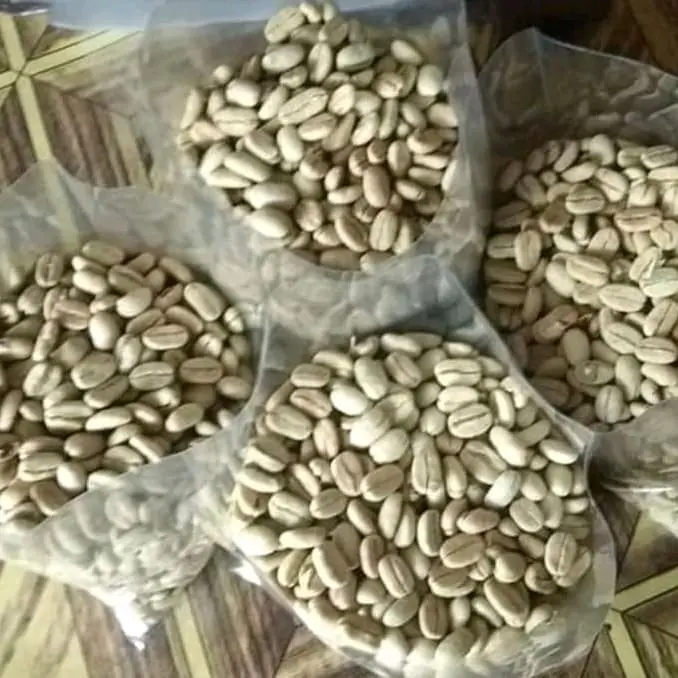 promo besar Biji Kopi Arabika Brazil Variates Unggul Buah Lebat 2000 Biji Benih kopi