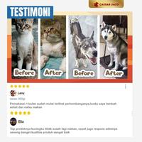 Gambar Horse Power - Kalsium Mineral Vitamin Anjing Kucing Import Australia dari Caesar JacO Kota Administrasi Jakarta Barat 5 Tokopedia