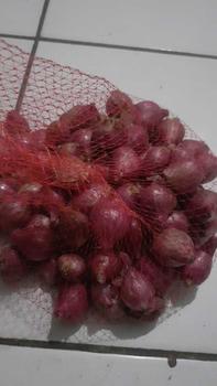 Product Review of Bawang Merah Asli Probolinggo 1Kg Ukuran Tanggung Kasar Rasa Khas Daerah from u**0 0