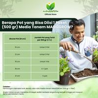 Gambar [MANGGROW] MEDIA TANAM TANAMAN BUNGA HIAS 500gr | Potting Mix 9 Bahan Organik • pH 6,5 • Siap Pakai Bunga Bambu. Sebagai Pupuk & Penyubur Tanah Jamur Merah - 500 gram dari Manggrow Official Shop Kab. Sukoharjo 5 Tokopedia