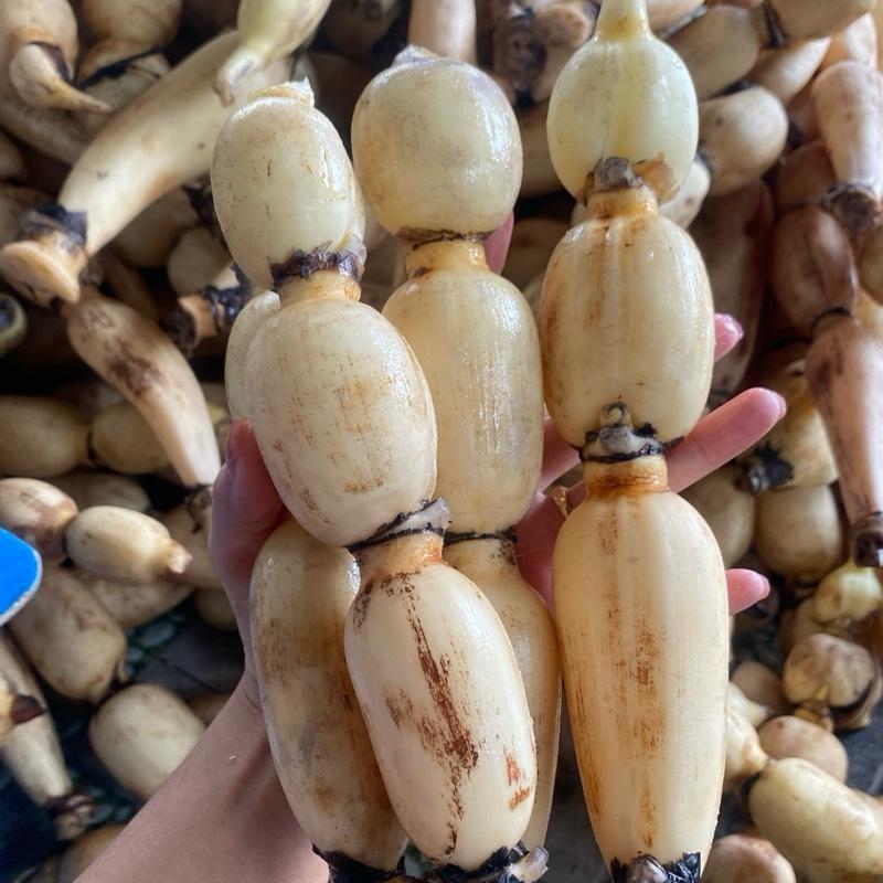 Combo 1kg sen nhỏ đặc sản miền tây dùng trộn gỏi làm kim chi đóng gói khô ráo