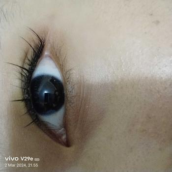 Product Review of BAISISI Bulu Mata Palsu Individual Lashes A11 Super Natural Segmentasi | Eyelash Extension | Douyin Lashes | Eye Make Up from u**3 1