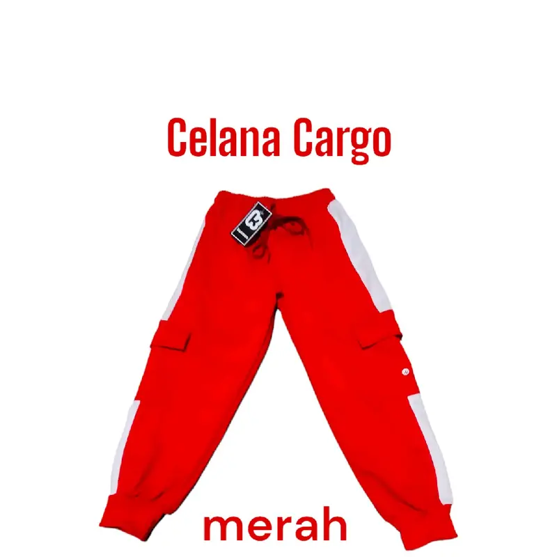 Pakaian anak setelan kaos tshirt celana joger anak cowok cewek laki-laki perempuan usia 3-13 tahun kemerdekaan merdeka agustusan Hut RI Baju 8