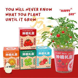 Souvenir Menanam Hemat Gardening Starter Mini Grow Kit Paket Berkebun Blind Box Tanaman Hampers