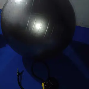 SPEEDS Gym Ball fitness 75 cm Bola Gym Bola yoga alat olahraga Untuk Ibu Hamil Gymball 019-03