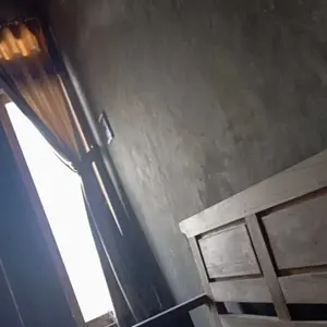 Bibit Apel Putsa Okulasi - Bibit Apel Putsa Okulasi untuk Kebun Anda