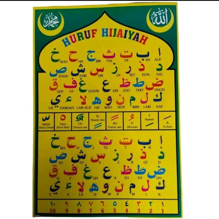 Poster Gambar Hewan | poster Edukasi Anak | Herbivora | Karnivora | Omnivora | Dll.Stationery 1