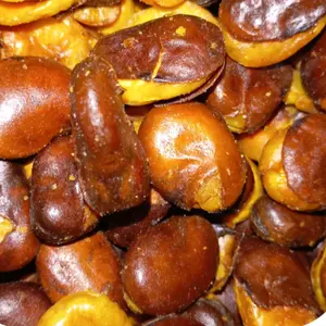 kacang koro kulit  renyah dan gurih  kriuk kriuk