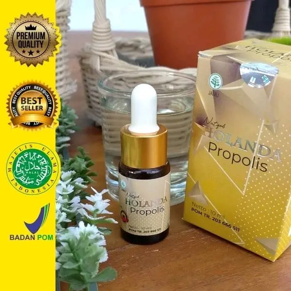 Holanda Propolis Asli Original 2
