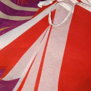 Bendera Karnaval Renteng Merah Putih dan Warna Warni Panjang 5meter