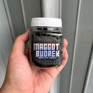 Maggot Budrek Booster Bunga Channa Maru SaintHan