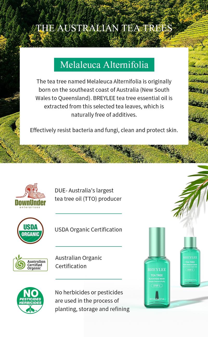 Product Introduction of BREYLEE Tea Tree Oil Blackhead Mask Pore Refining Serum Facial Blackhead Treatment 17ml Skincare Comfort 6