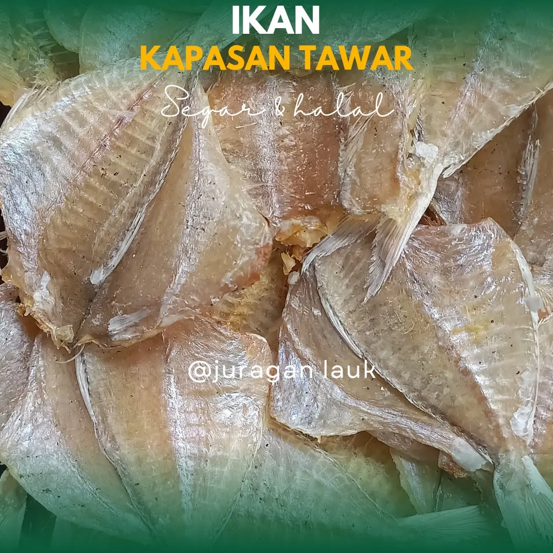 kapasan tawar ikan termurah dan terbaik best seller