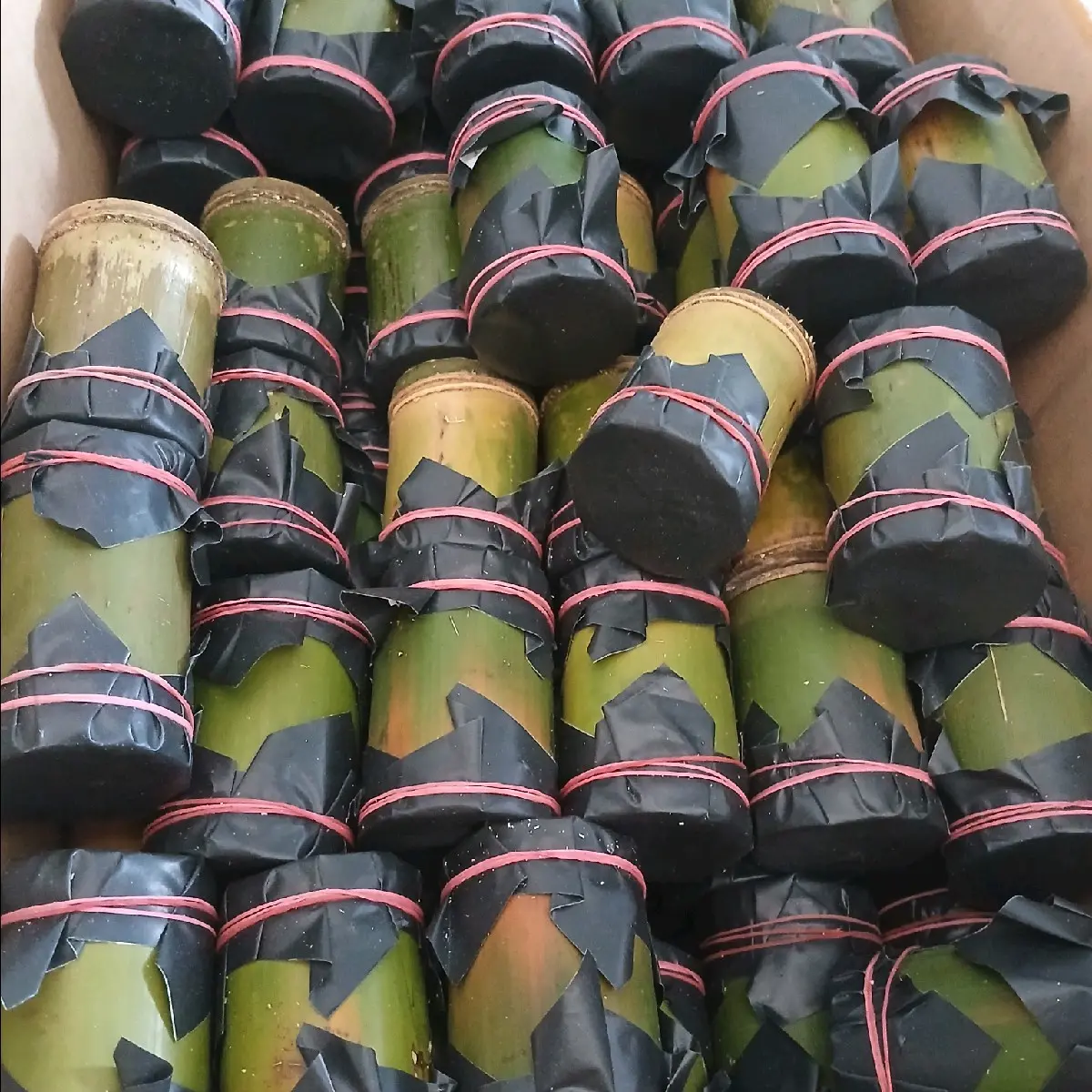 umpan mancing ulat bambu 1 tabung isi 25