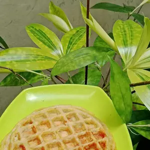 Waffle Mini Mesin Pembuat - Cetakan Pancake Anti Lengket Electric Maker.