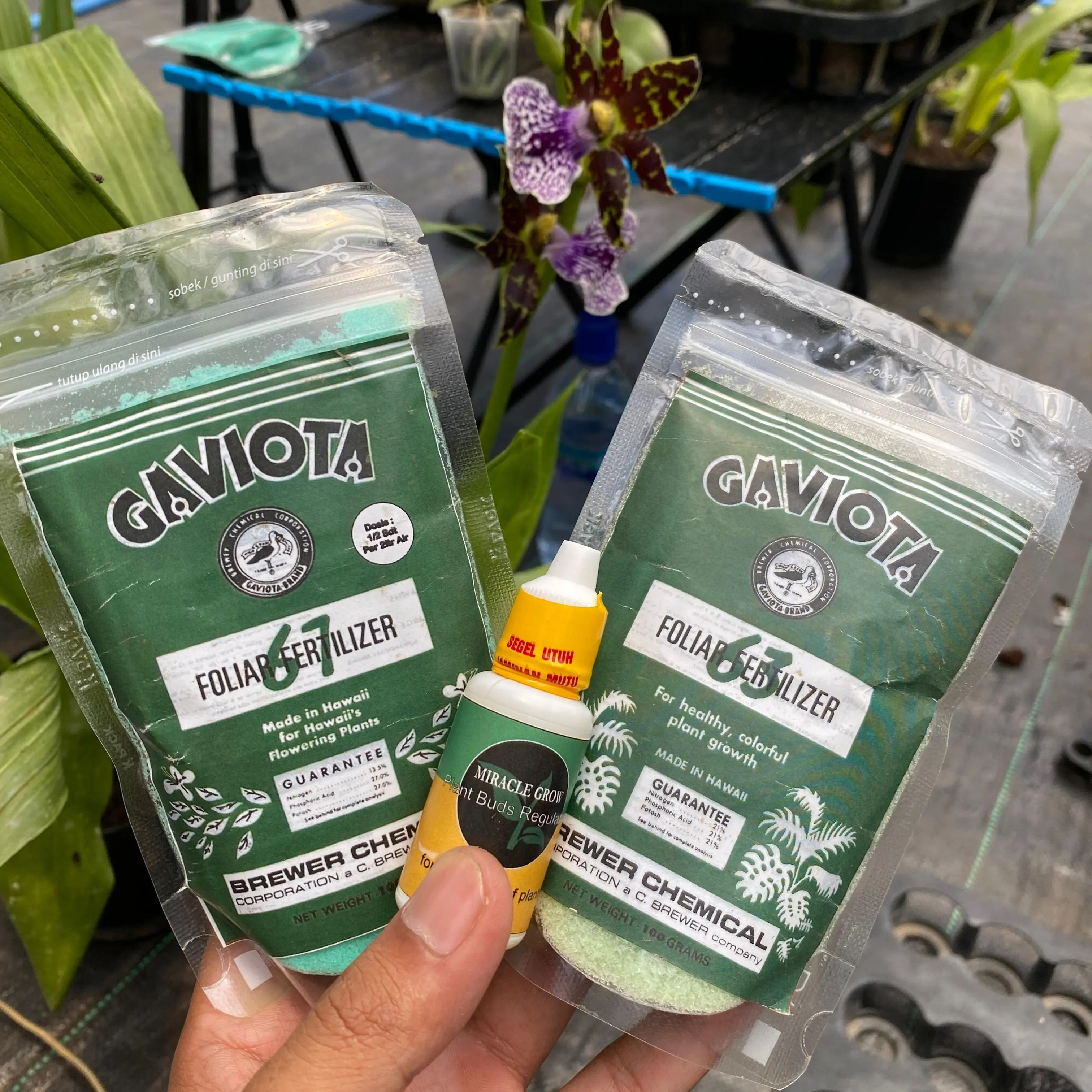 PAKET PUPUK DAN BOSTER TANAMAN ANGGREK GAVIOTA DAN MIRACLE GROW