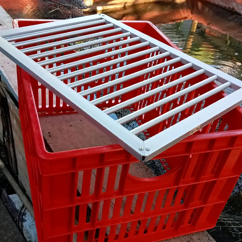 Alat sortir ikan lele 1kg isi 10-12. sistem terbaru 7