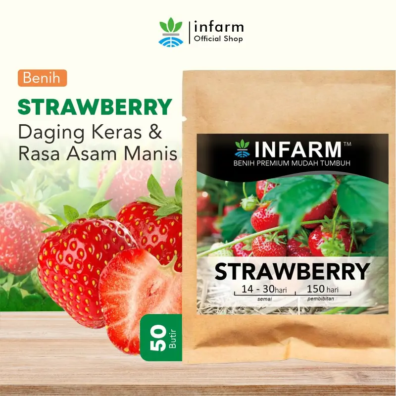 Benih tanaman Buah Strawberry isi 50 butir  Infarm 0