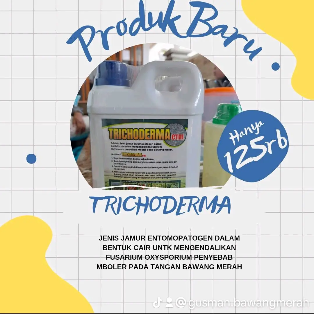 TRICHODERMA cthi cairan jamur Entomopatogen
