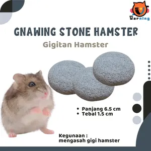 Gnawing Stone Hamster - Asahan Gigi Hamster