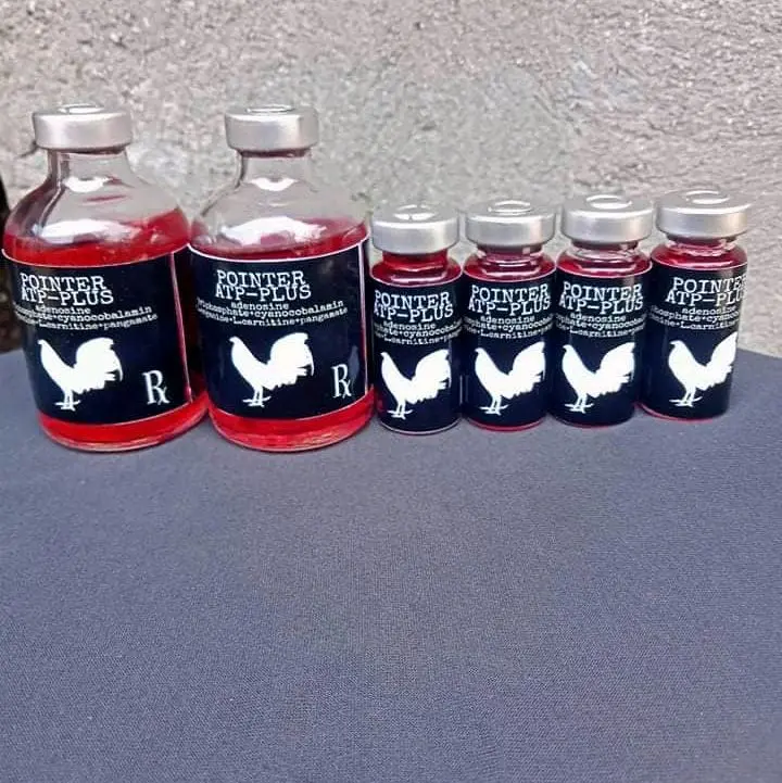 l carnitine for gamefowl Pointer Atp Plus for Gamefowl Conditioning And Pointing With B12 and L- carnitine