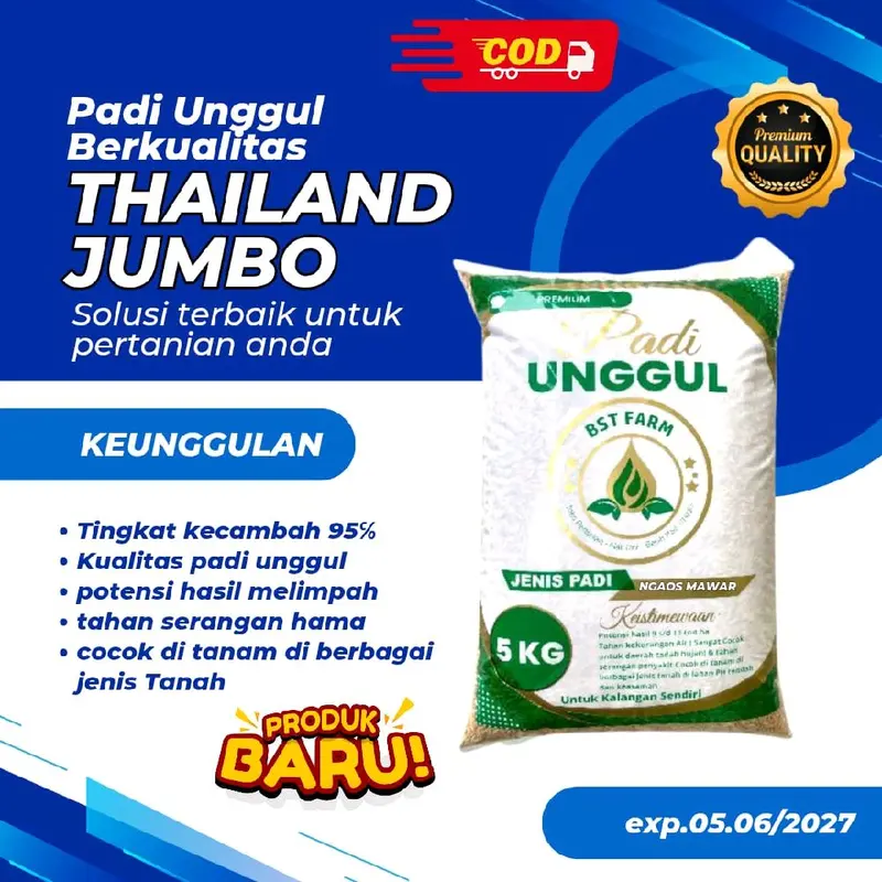 Benih padi Terbaru THAILAND JUMBO 5kg Kualitas benih padi Unggul 0