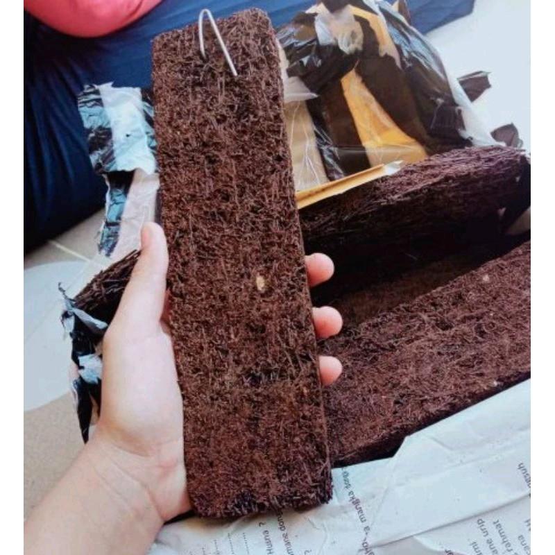 Papan Pakis 20x6 cm untuk Media Tanam Anggrek GRATIS Cantolan 1