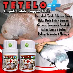 TETELO PLUS 100 PIL OBAT MERPATI TELO paling ampuh vitamin suplement merpati obat herbal merpati sakit tengo
