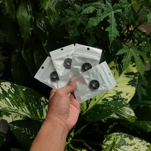 bearing spiner motor diameter dalam 8mm dan 10mm